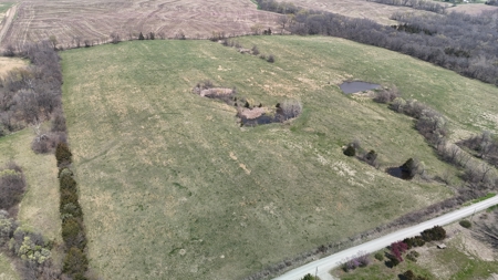 Dekalb County MO - 20+/- Acres, 10 Acres or Even 5 Acre Home Site - image 17