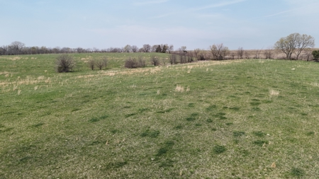 Dekalb County MO - 20+/- Acres, 10 Acres or Even 5 Acre Home Site - image 19