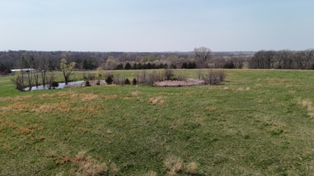 Dekalb County MO - 20+/- Acres, 10 Acres or Even 5 Acre Home Site - image 16