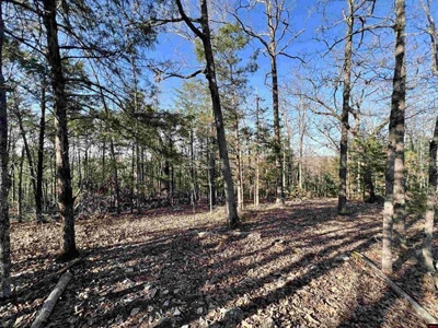 Walk To The Water Of Bull Shoals Lake - image 5