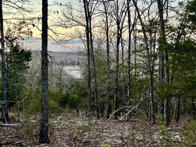Walk To The Water Of Bull Shoals Lake - image 3