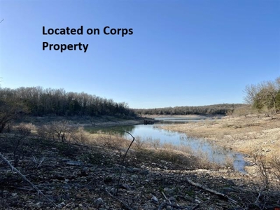 Walk To The Water Of Bull Shoals Lake - image 7