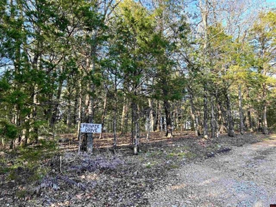 Walk To The Water Of Bull Shoals Lake - image 1