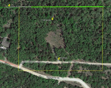 Walk To The Water Of Bull Shoals Lake - image 11