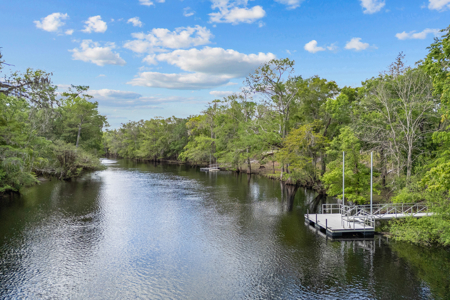 Waterfront Home for Sale in Branford FL! - image 18