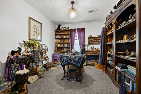 Waterfront Home for Sale in Branford FL! - image 10
