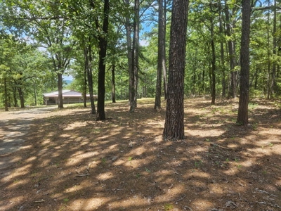 Cabin on Acreage for Sale in Moyers, Oklahoma - image 5
