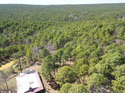 Cabin on Acreage for Sale in Moyers, Oklahoma - image 13
