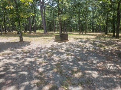 Cabin on Acreage for Sale in Moyers, Oklahoma - image 6
