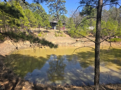 Cabin on Acreage for Sale in Moyers, Oklahoma - image 14