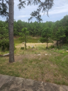 Cabin on Acreage for Sale in Moyers, Oklahoma - image 11