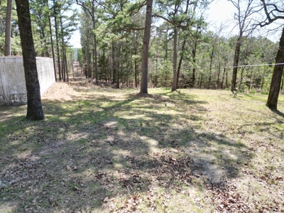 Cabin on Acreage for Sale in Moyers, Oklahoma - image 9