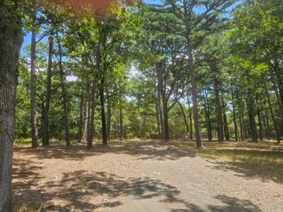 Cabin on Acreage for Sale in Moyers, Oklahoma - image 7