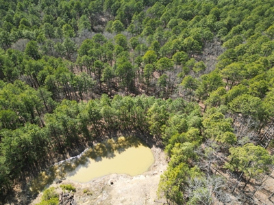 Cabin on Acreage for Sale in Moyers, Oklahoma - image 12