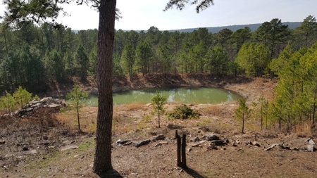 Cabin on Acreage for Sale in Moyers, Oklahoma - image 15