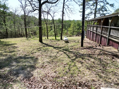 Cabin on Acreage for Sale in Moyers, Oklahoma - image 4