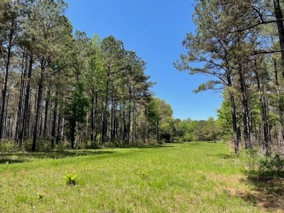 40 Acres For Sale Starkville MS - image 16
