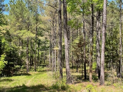 40 Acres For Sale Starkville MS - image 19