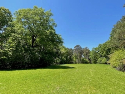 40 Acres For Sale Starkville MS - image 1