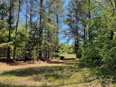 40 Acres For Sale Starkville MS - image 25