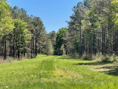 40 Acres For Sale Starkville MS - image 3