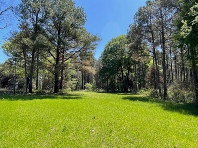 40 Acres For Sale Starkville MS - image 2