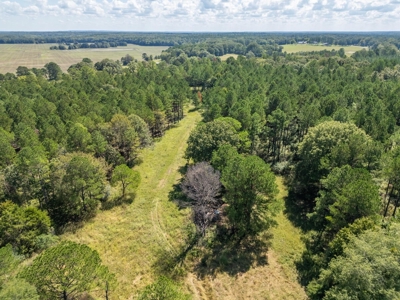 40 Acres For Sale Starkville MS - image 9