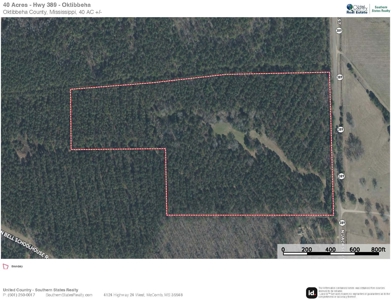 40 Acres For Sale Starkville MS - image 29