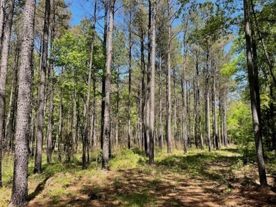 40 Acres For Sale Starkville MS - image 23