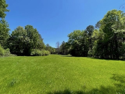 40 Acres For Sale Starkville MS - image 26