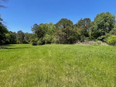 40 Acres For Sale Starkville MS - image 27