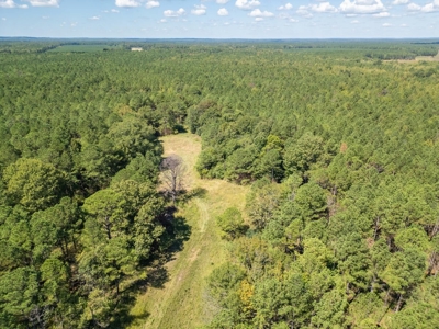 40 Acres For Sale Starkville MS - image 6