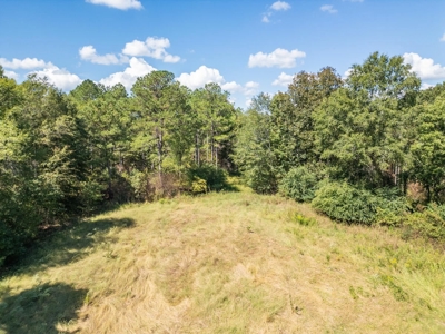 40 Acres For Sale Starkville MS - image 14