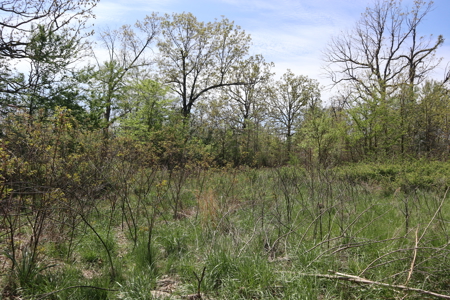 Country Home & Acreage For Sale Glencoe Arkansas - image 28