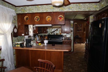 Country Home & Acreage For Sale Glencoe Arkansas - image 11