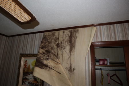 Country Home & Acreage For Sale Glencoe Arkansas - image 18