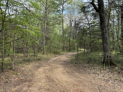 Cabin With Creek Frontage For Sale In North Central Arkansas - image 21