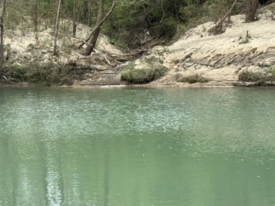 Cabin With Creek Frontage For Sale In North Central Arkansas - image 17