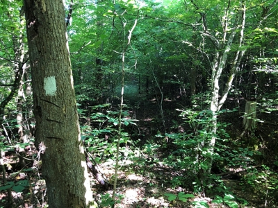 The Hideaway at Willow Bottom – Your Off-Grid Retreat Awaits, VA - image 22