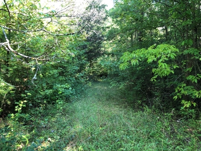 The Hideaway at Willow Bottom – Your Off-Grid Retreat Awaits, VA - image 11
