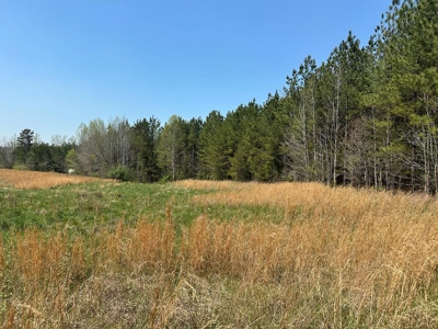 The Hideaway at Willow Bottom – Your Off-Grid Retreat Awaits, VA - image 35