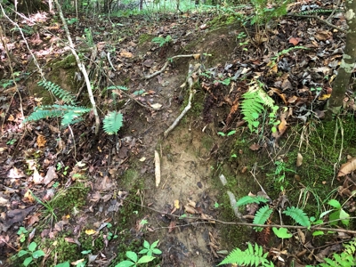 The Hideaway at Willow Bottom – Your Off-Grid Retreat Awaits, VA - image 18