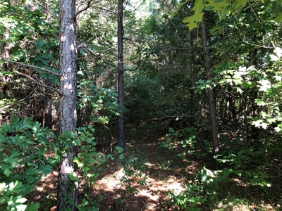 The Hideaway at Willow Bottom – Your Off-Grid Retreat Awaits, VA - image 24