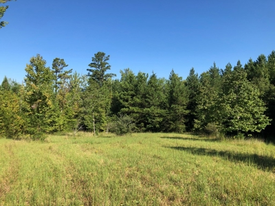 The Hideaway at Willow Bottom – Your Off-Grid Retreat Awaits, VA - image 21