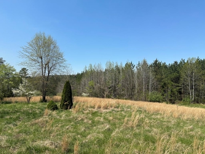 The Hideaway at Willow Bottom – Your Off-Grid Retreat Awaits, VA - image 28