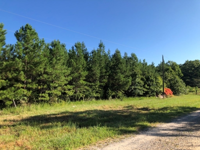 The Hideaway at Willow Bottom – Your Off-Grid Retreat Awaits, VA - image 2