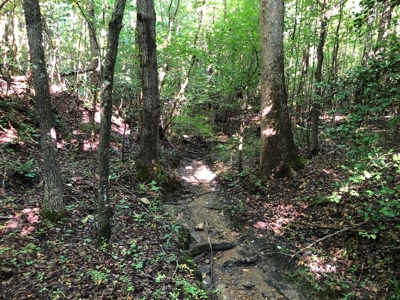 The Hideaway at Willow Bottom – Your Off-Grid Retreat Awaits, VA - image 9
