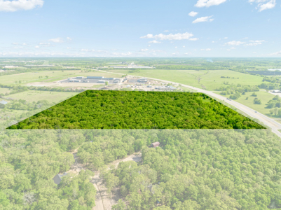 Prime 37-Acre Development Property for Sale in Paris, TX, NE TX - image 3