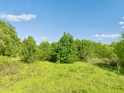 Prime 37-Acre Development Property for Sale in Paris, TX, NE TX - image 11