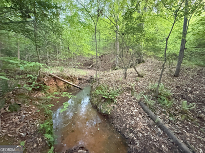 760 Mallorysville Road Tignall, GA - image 13